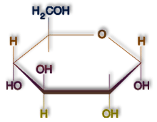 webassets/Chemisrty-Glucose.gif